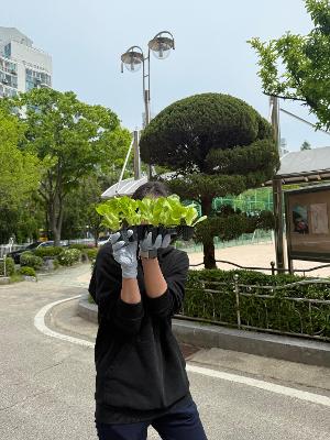 가이아(생태환경동아리) 모종심기(5.2)